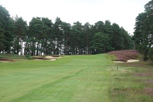 Swinley Forest 15th Fairway